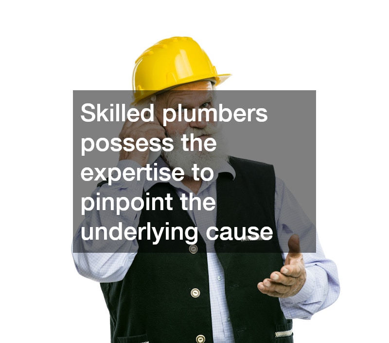 Skilled plumbers possess the expertise to pinpoint the underlying cause