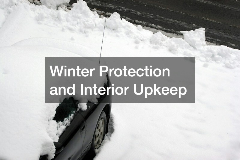 Winter Protection and Interior Upkeep