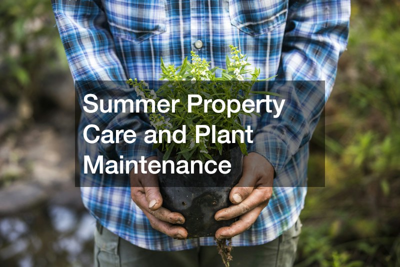 Summer Property Care and Plant Maintenance