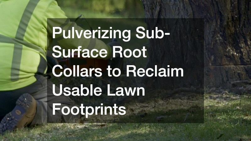 Pulverizing Sub-Surface Root Collars to Reclaim Usable Lawn Footprints