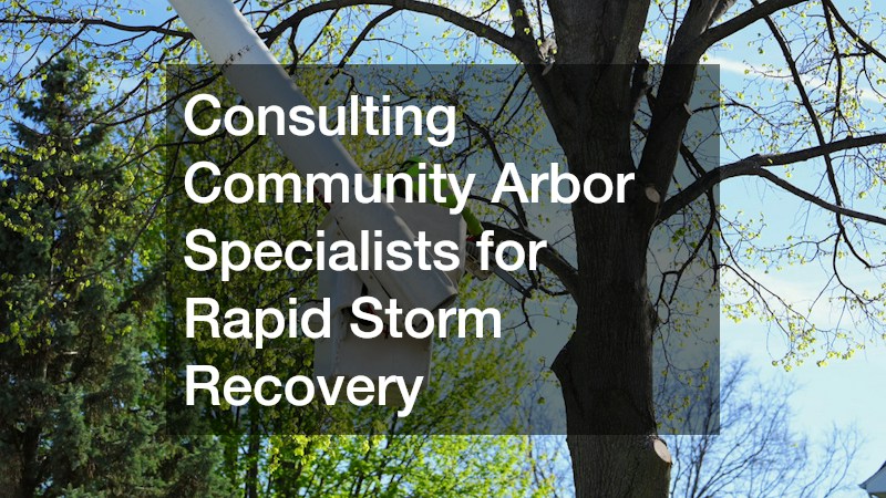 Consulting Community Arbor Specialists for Rapid Storm Recovery