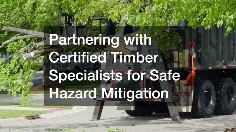 Partnering with Certified Timber Specialists for Safe Hazard Mitigation