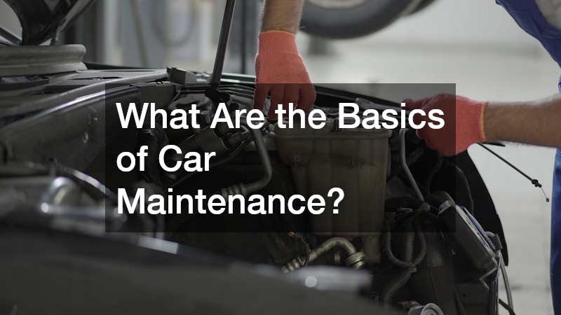 What Are the Basics of Car Maintenance?