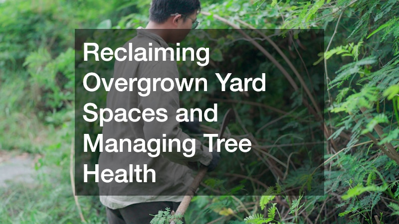 Reclaiming Overgrown Yard Spaces and Managing Tree Health