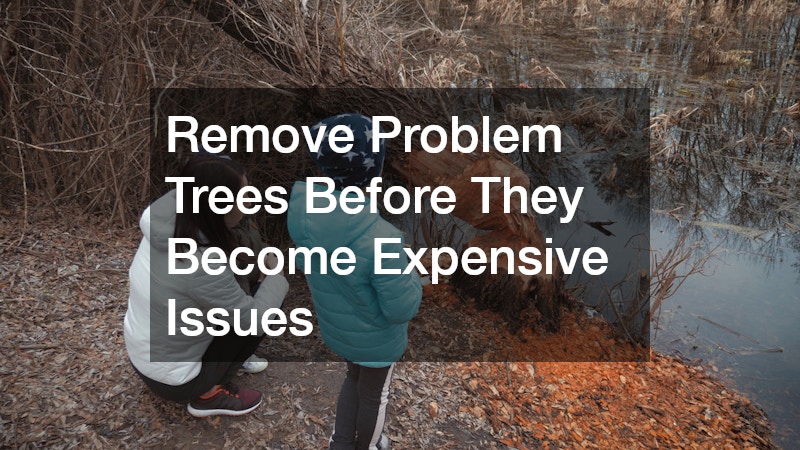 Remove Problem Trees Before They Become Expensive Issues