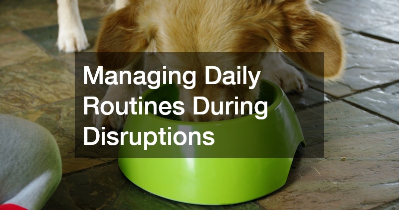 Managing Daily Routines During Disruptions
