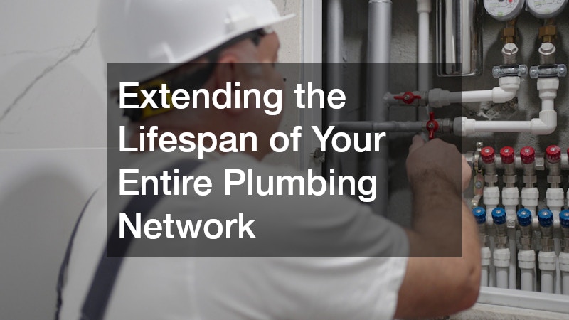Extending the Lifespan of Your Entire Plumbing Network