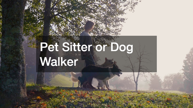 Pet Sitter or Dog Walker