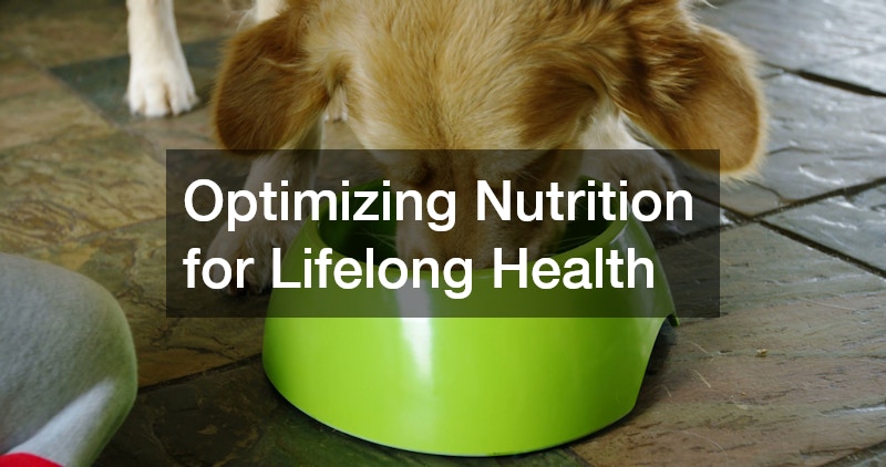 Optimizing Nutrition for Lifelong Health