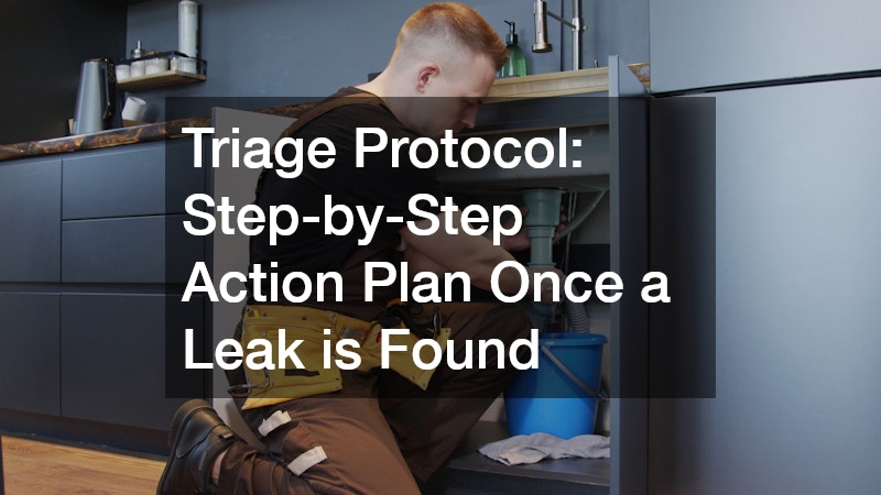 Triage Protocol: Step-by-Step Action Plan Once a Leak is Found