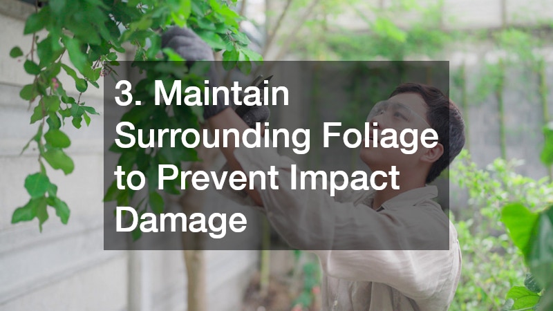 3. Maintain Surrounding Foliage to Prevent Impact Damage