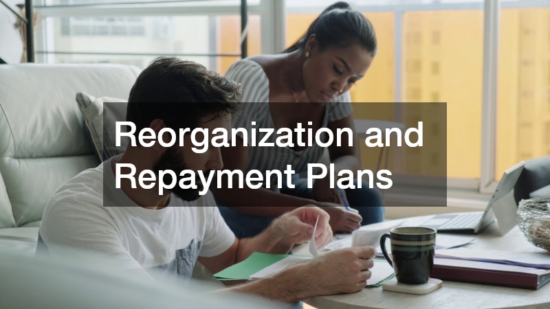 Reorganization and Repayment Plans