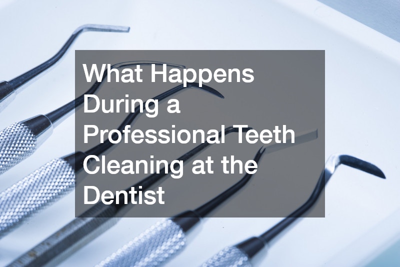 What Happens During a Professional Teeth Cleaning at the Dentist