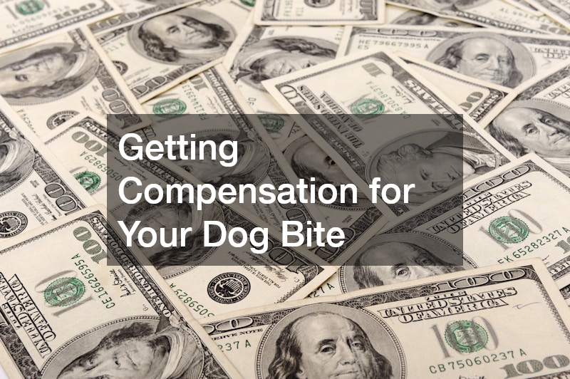 Getting Compensation for Your Dog Bite