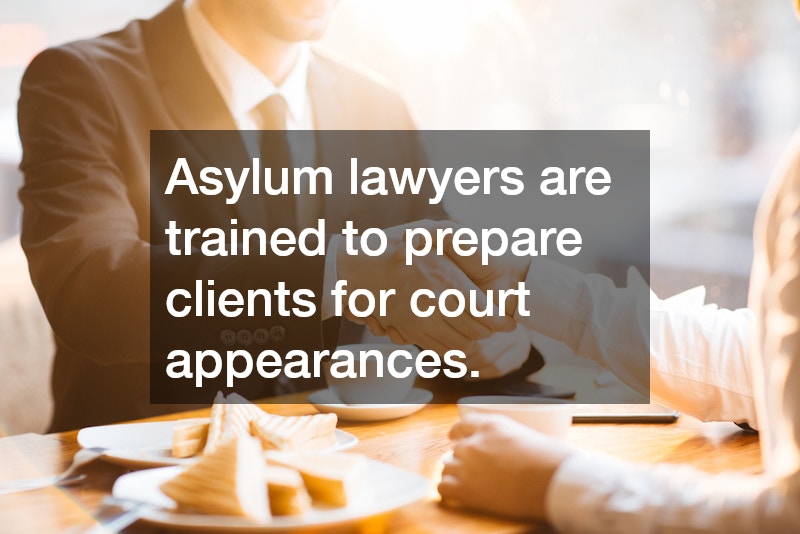 Asylum lawyers are trained to prepare clients for court appearances.