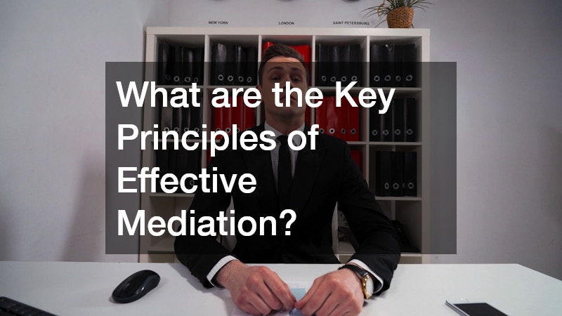 What are the Key Principles of Effective Mediation?