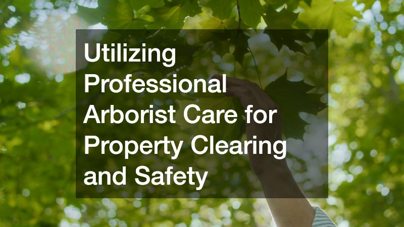 Utilizing Professional Arborist Care for Property Clearing and Safety