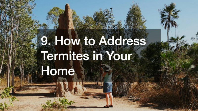 9. How to Address Termites in Your Home