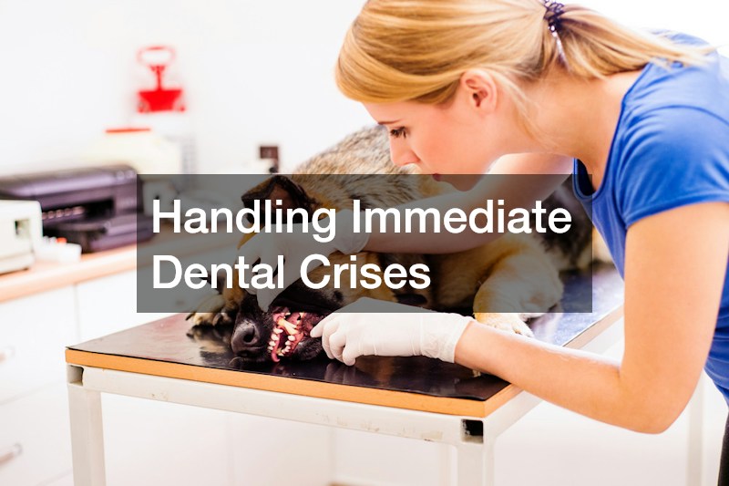 Handling Immediate Dental Crises