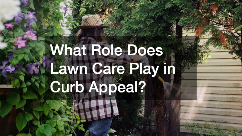 What Role Does Lawn Care Play in Curb Appeal?