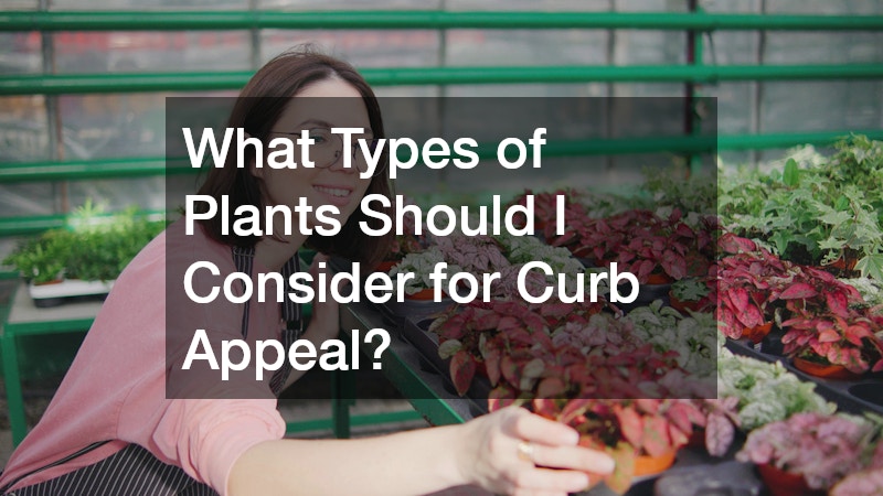 What Types of Plants Should I Consider for Curb Appeal?