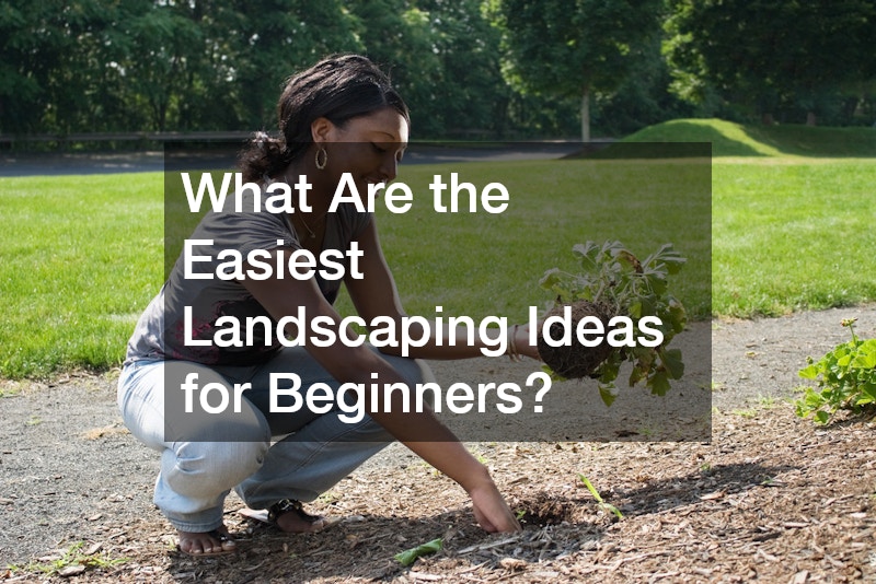 What Are the Easiest Landscaping Ideas for Beginners?