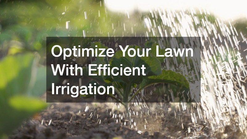 Optimize Your Lawn With Efficient Irrigation