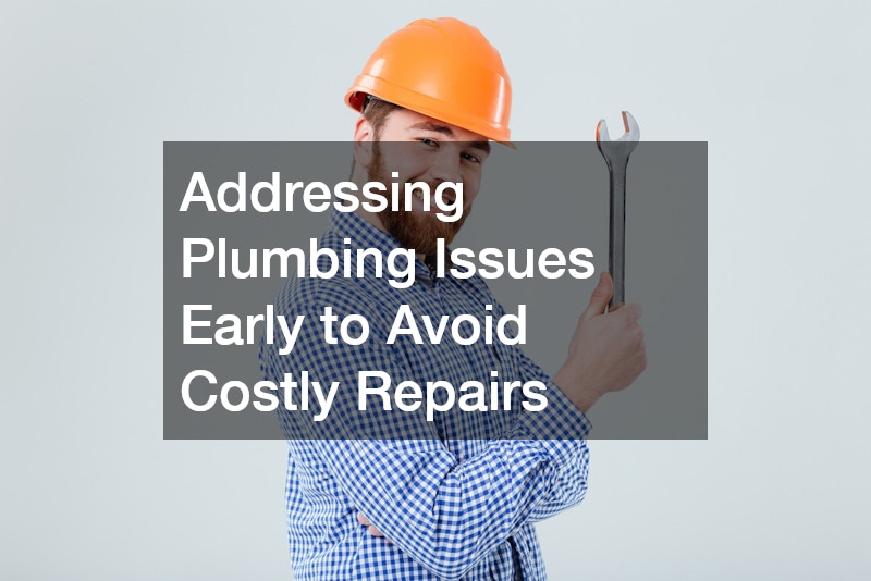 Addressing Plumbing Issues Early to Avoid Costly Repairs