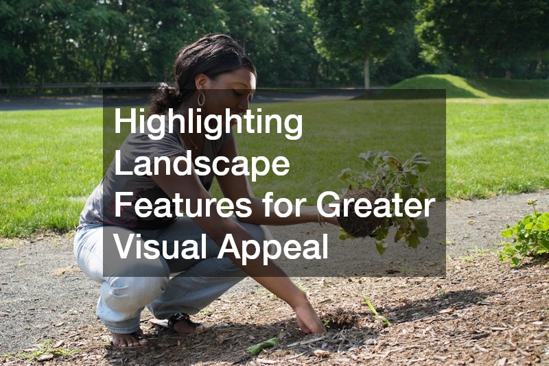 Highlighting Landscape Features for Greater Visual Appeal