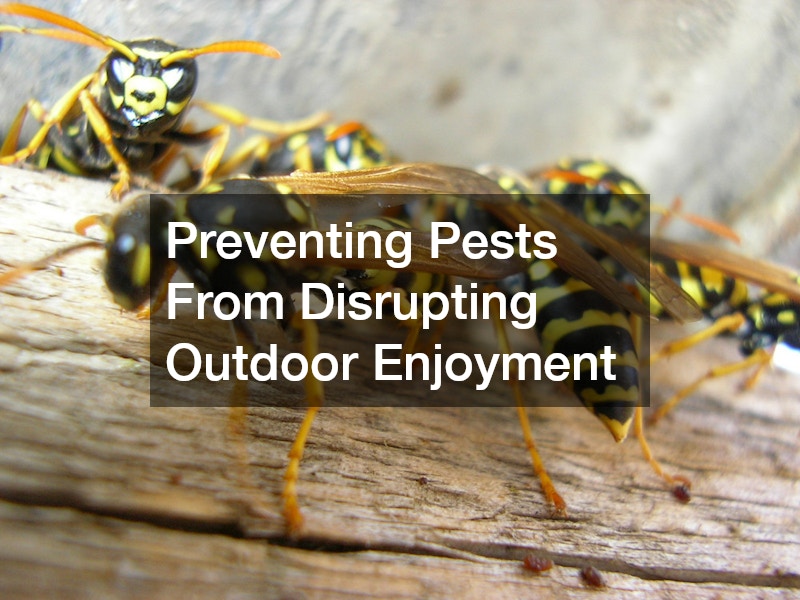 Preventing Pests From Disrupting Outdoor Enjoyment