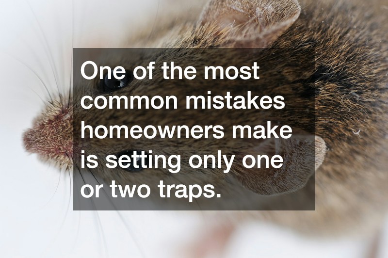 One of the most common mistakes homeowners make is setting only one or two traps.