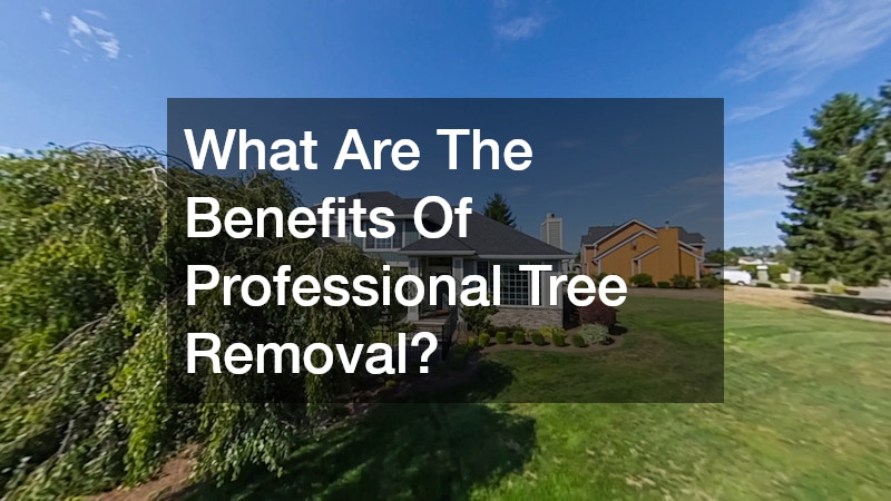 What Are The Benefits Of Professional Tree Removal?