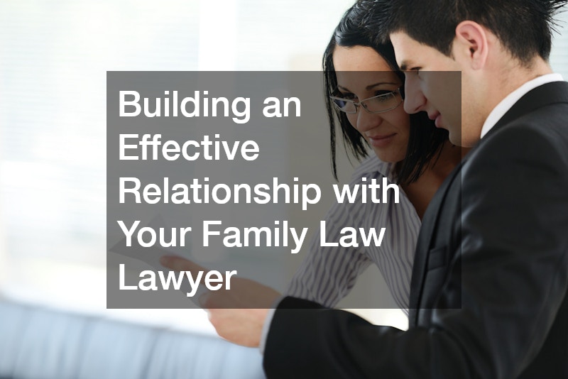 Building an Effective Relationship with Your Family Law Lawyer