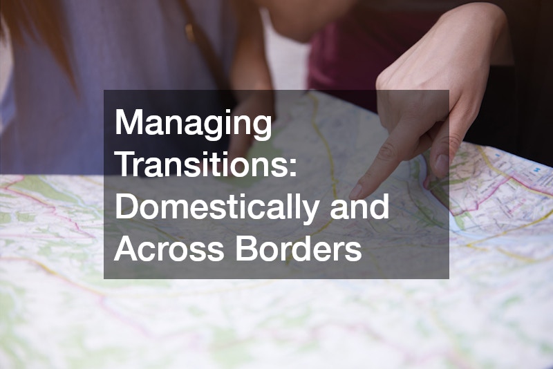 Managing Transitions: Domestically and Across Borders