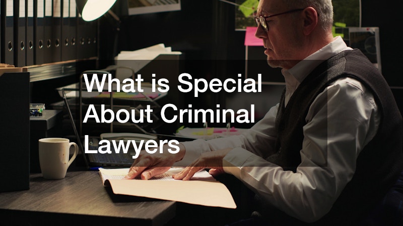 What is Special About Criminal Lawyers