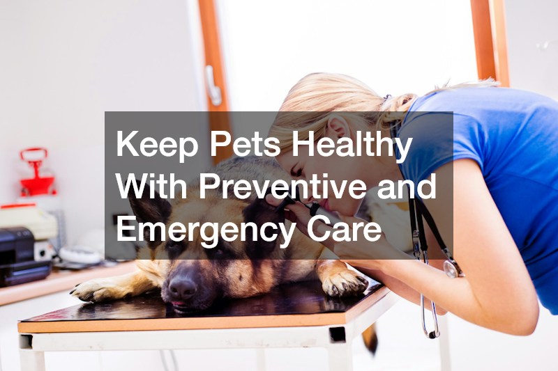 Keep Pets Healthy With Preventive and Emergency Care