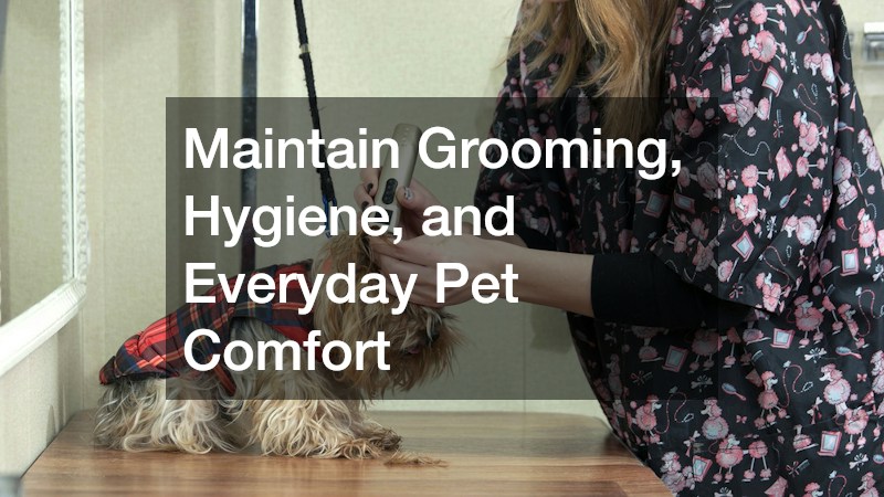 Maintain Grooming, Hygiene, and Everyday Pet Comfort