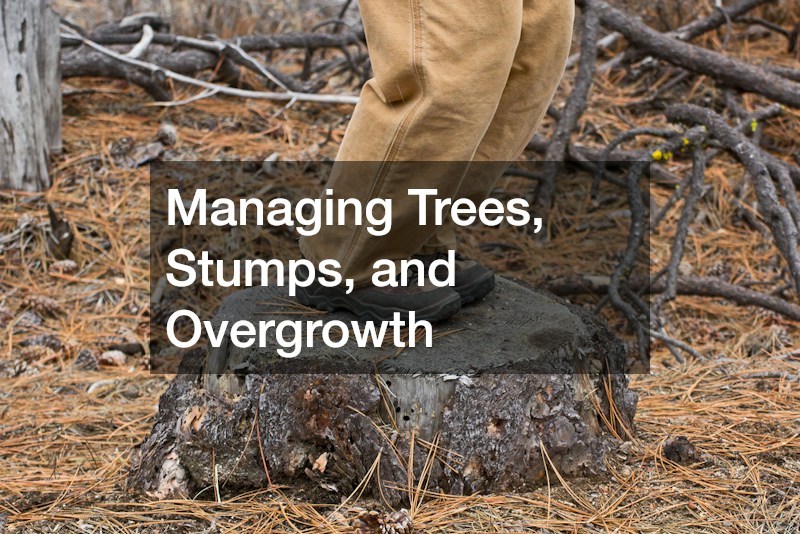Managing Trees, Stumps, and Overgrowth
