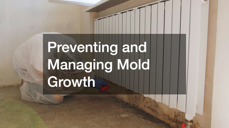 Preventing and Managing Mold Growth