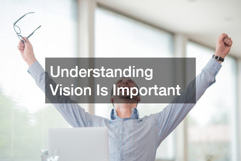 Understanding Vision Is Important