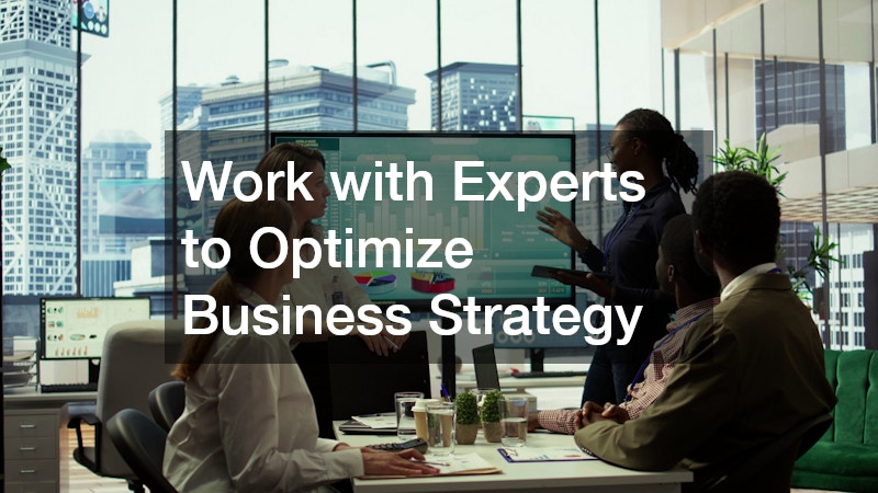 Work with Experts to Optimize Business Strategy