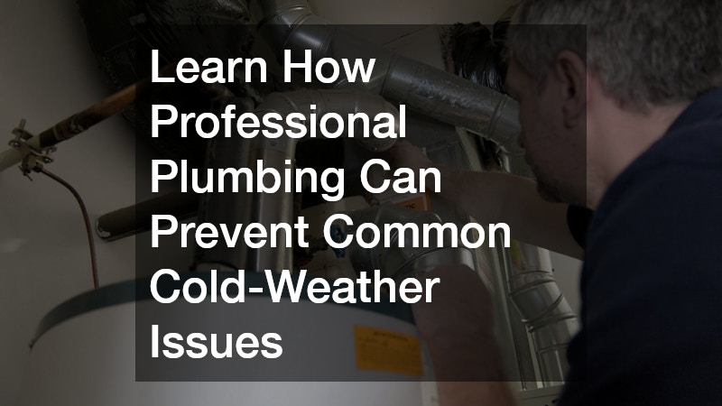 Learn How Professional Plumbing Can Prevent Common Cold-Weather Issues