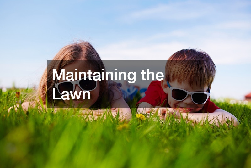 Maintaining the Lawn
