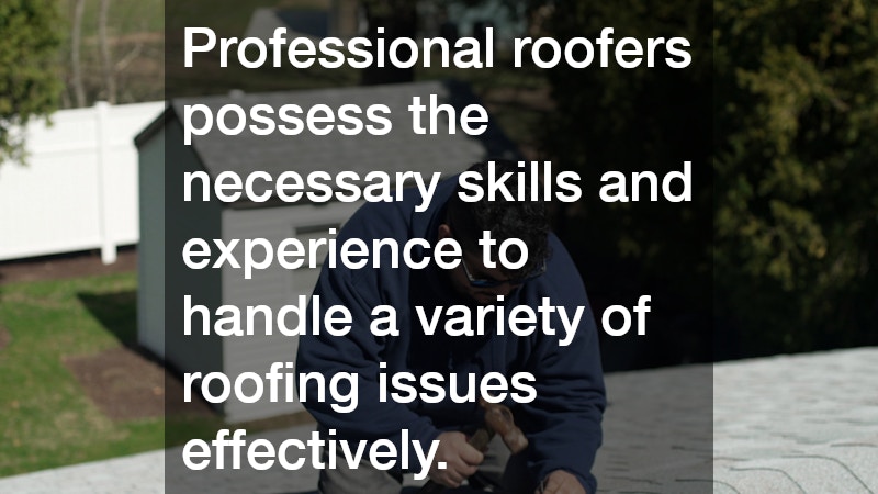 Professional roofers possess the necessary skills and experience to handle a variety of roofing issues effectively.