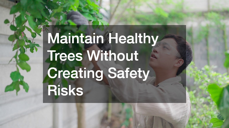 Maintain Healthy Trees Without Creating Safety Risks