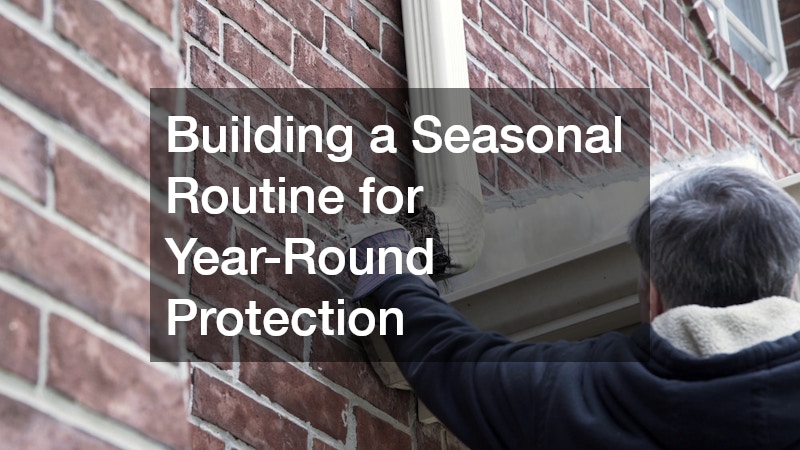 Building a Seasonal Routine for Year-Round Protection
