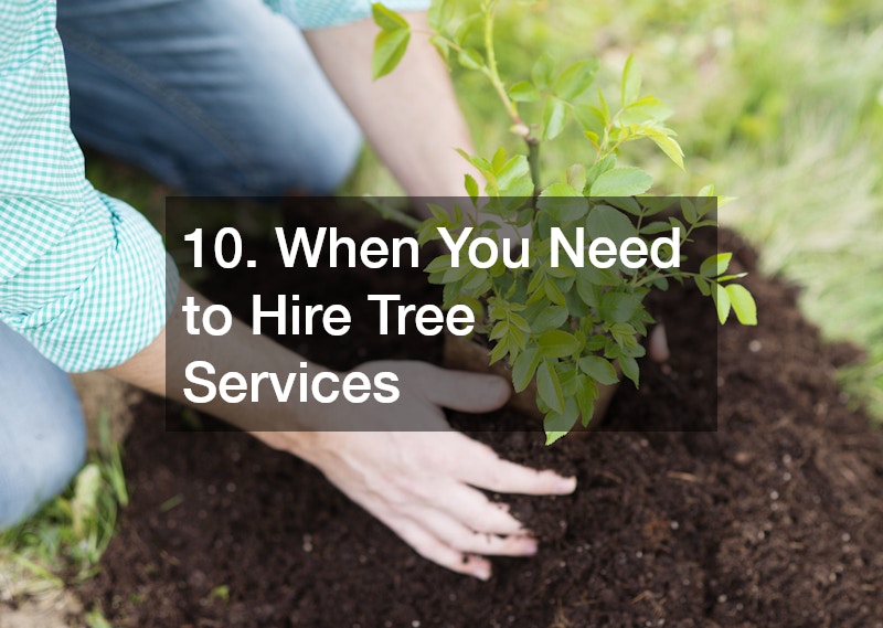 10. When You Need to Hire Tree Services