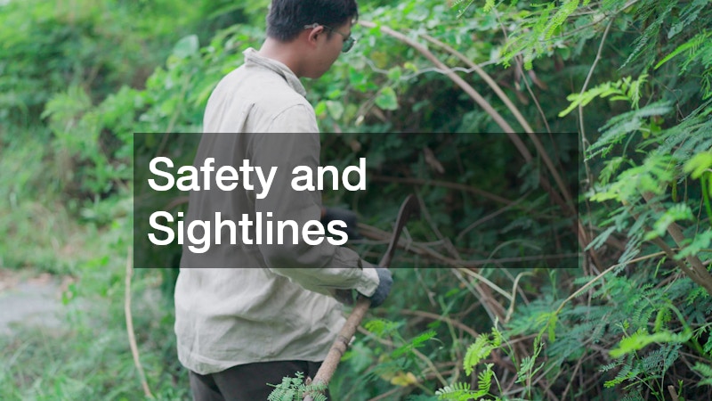 Safety and Sightlines
