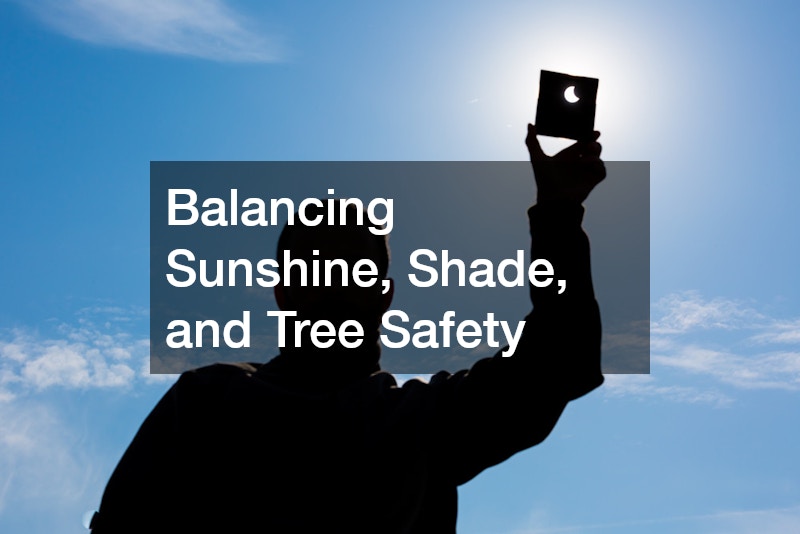 Balancing Sunshine, Shade, and Tree Safety