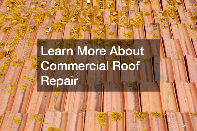 Learn More About Commercial Roof Repair